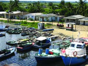 Otra pelea cubana contra los demonios y el mar